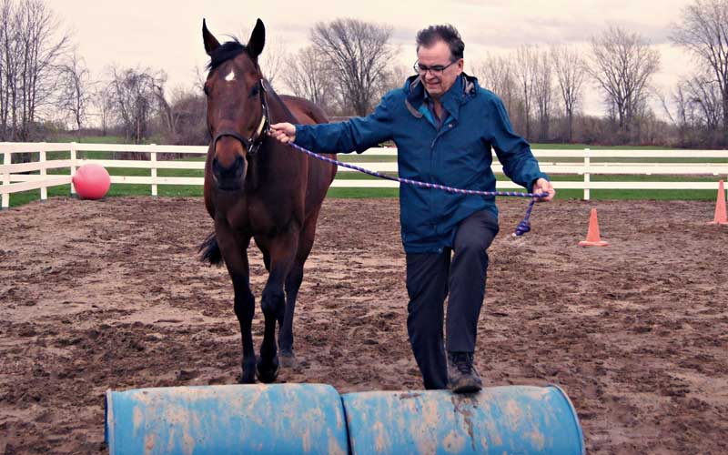 Formation Leadership et influence - photo d'un homme guidant un cheval